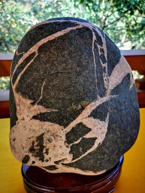 阜平縣第二屆雪浪石文化展 石韻天成，文蘊流傳