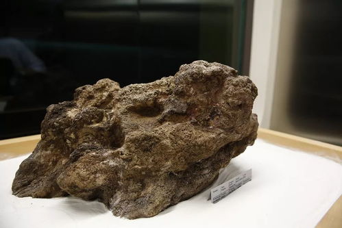 撿石者的意外驚喜 木雕刻品，價(jià)值連城的自然饋贈(zèng)